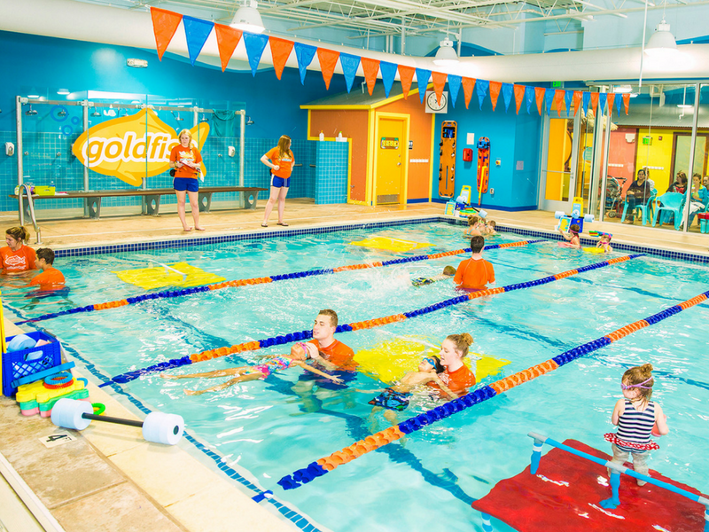 GoldfishSwimSchoolBlogInsert3_courtesyof