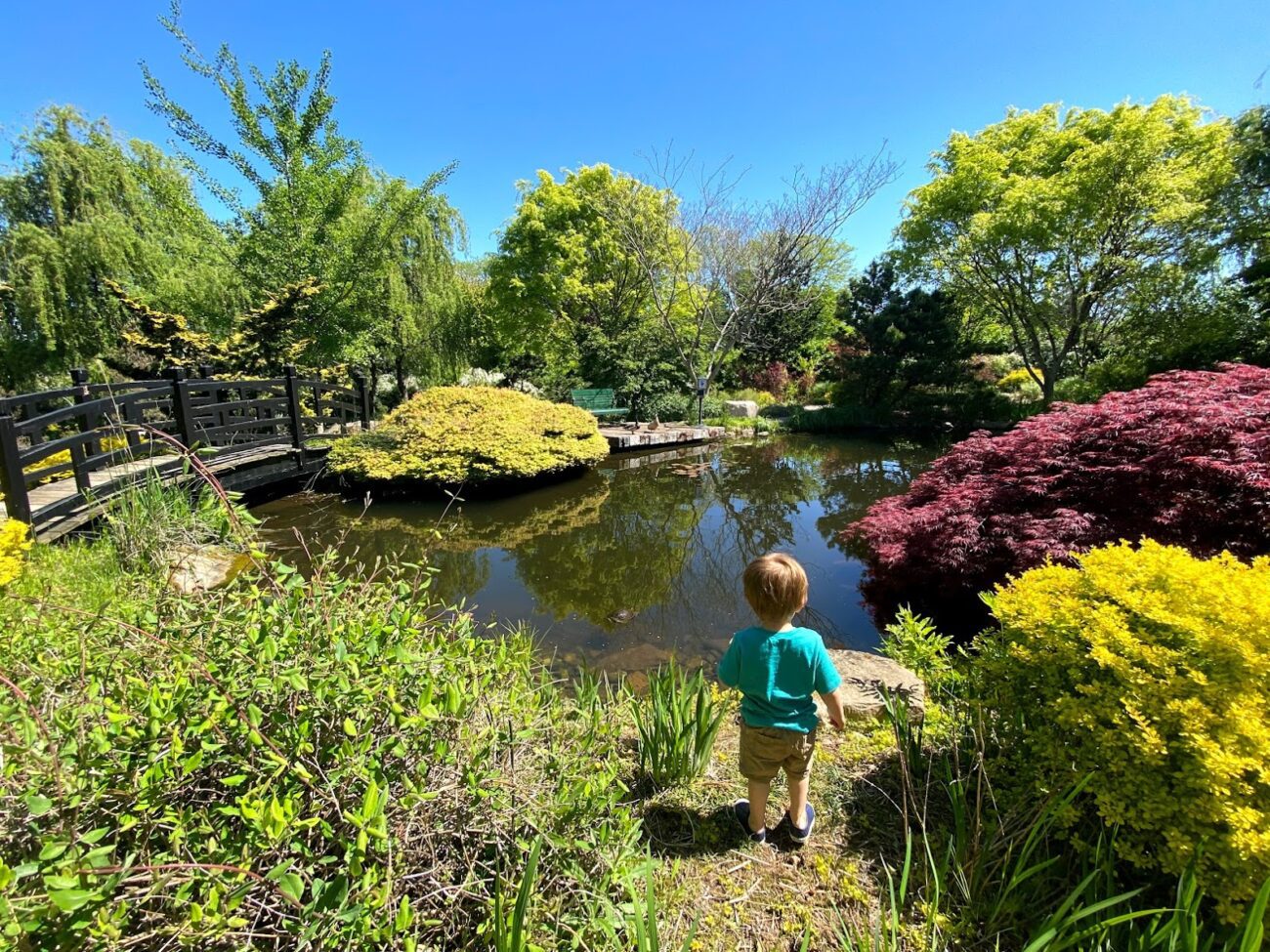 Bucks County's Guide to Gardens and Arboretums 