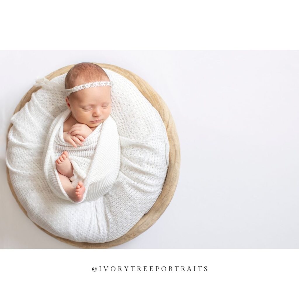 Ivory Tree Portraits | Best Photography Studio — 2024 LOVE Awards