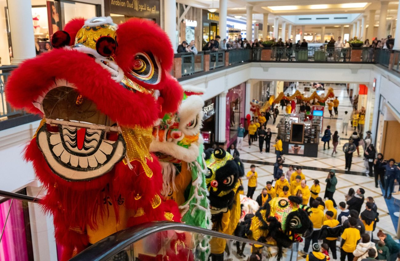The Philadelphia Suns perform the Lion Dance at a Lunar New Year celebration at the King of Prussia Mall.
