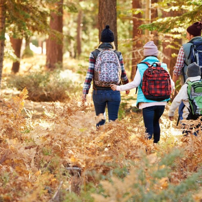 A family of four wearing backpacks walks through the woods in fall.