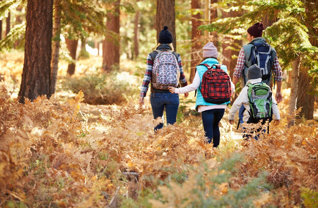 A family of four wearing backpacks walks through the woods in fall.