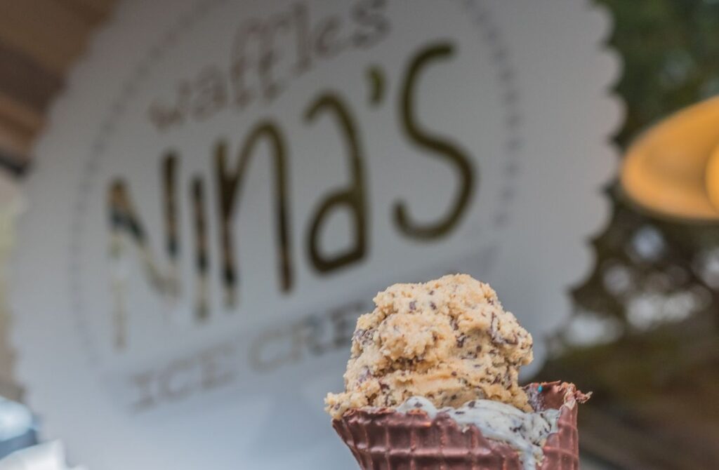 Nina's Ice Cream and Waffles is one of the many amazing Bucks County ice cream shops.