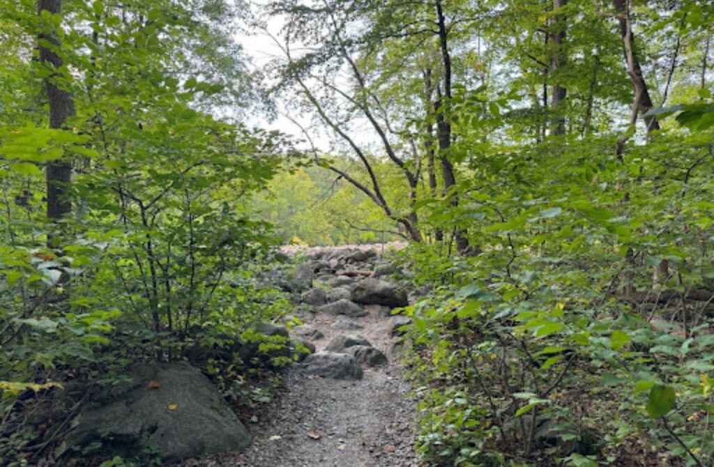 A trail leading to the boulder field at Ringing Rocks Park.