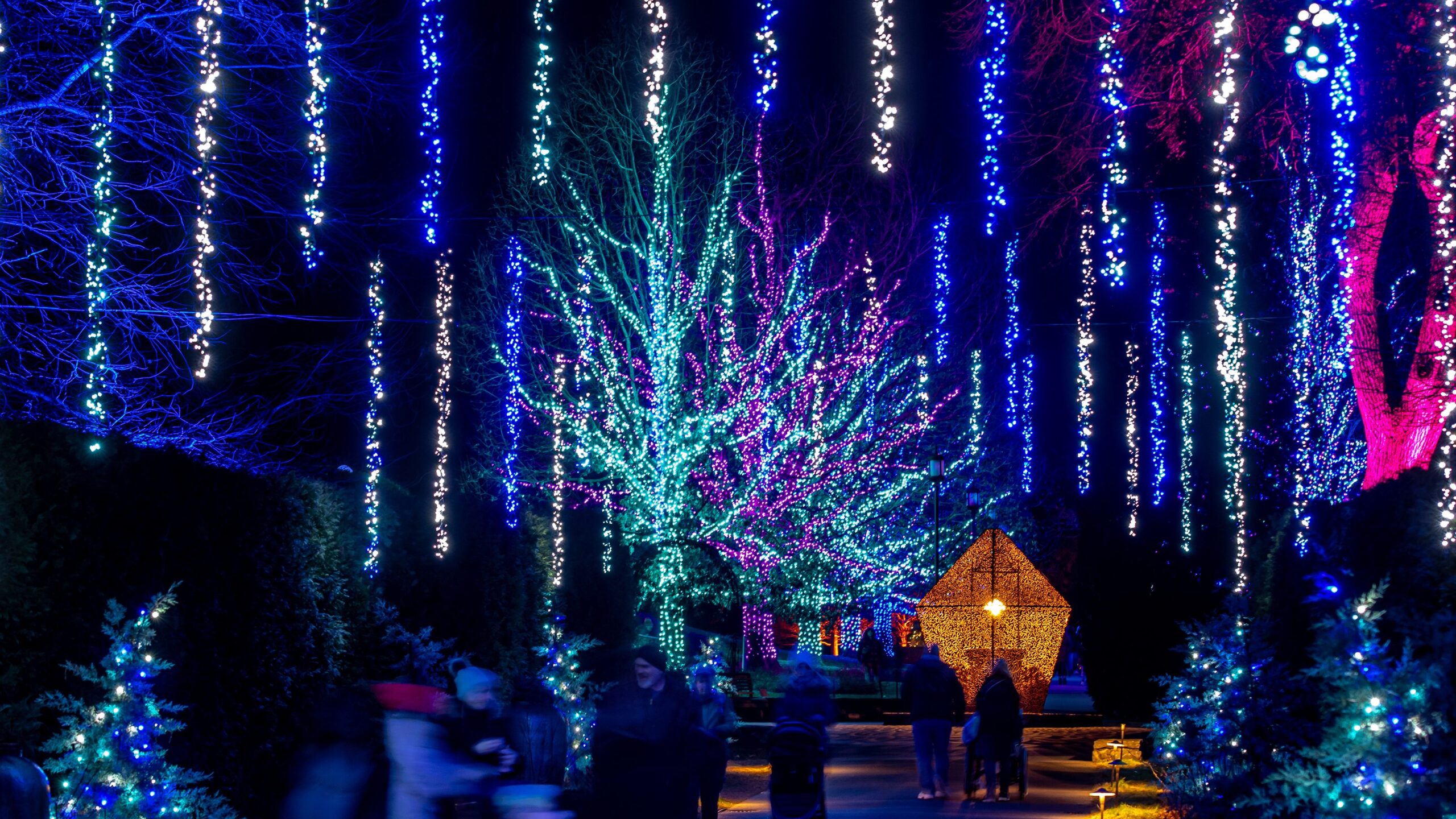 A Longwood Christmas