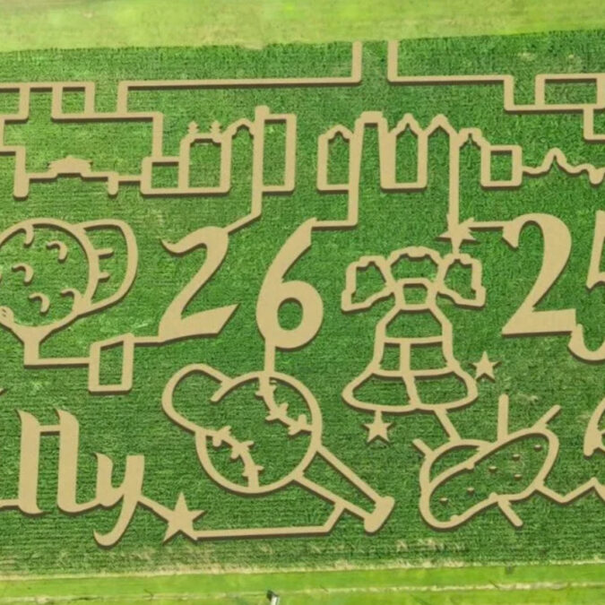 Shady Brook Farm Corn Maze 2026