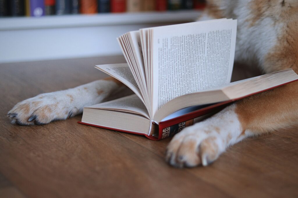 Dog With Book Between Paws