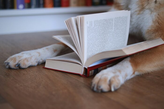 Dog With Book Between Paws