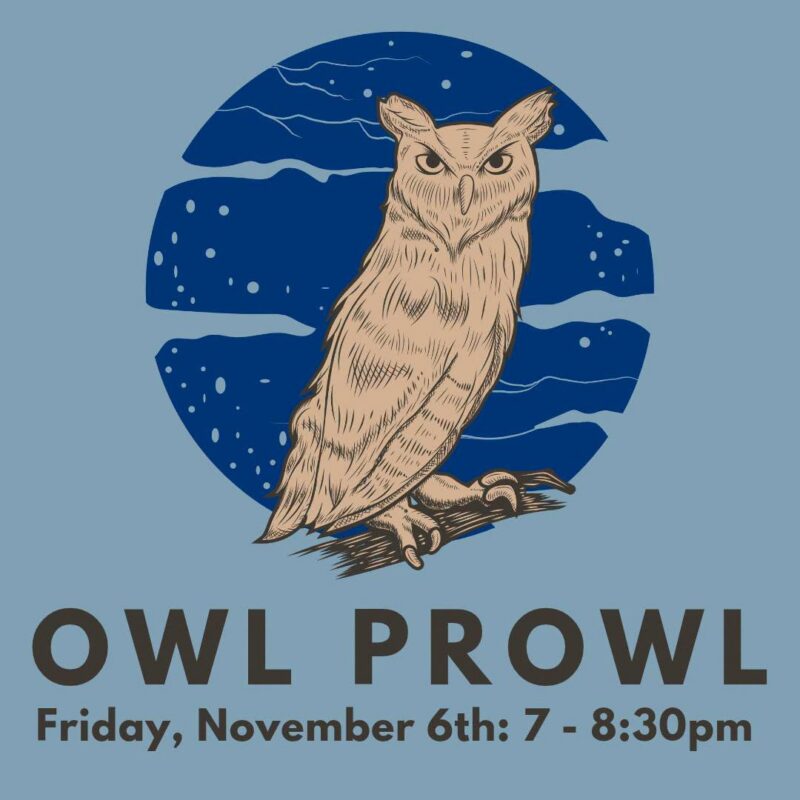Owl Prowl at Peace Valley Nature Center